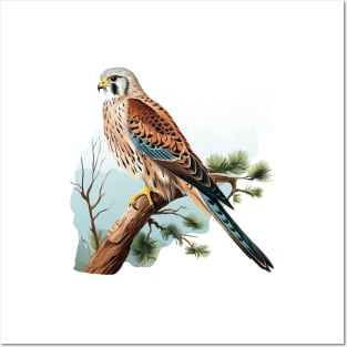 Kestrel Posters and Art